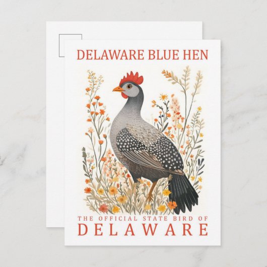Delaware Blue Hen Bird of Delaware Verenigde State Briefkaart (Voorkant / Achterkant)