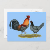 Delaware Blue Hen Briefkaart (Voorkant / Achterkant)