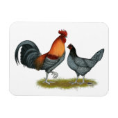 Delaware Blue Hen Magneet (Horizontaal)