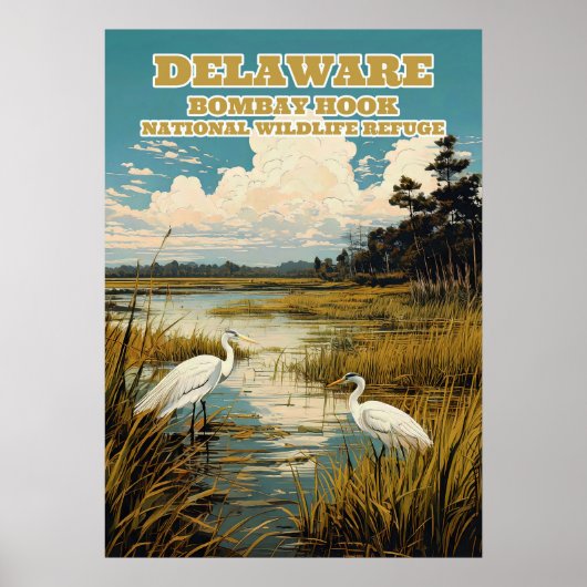 Delaware Bombay Hook V03 Poster (Voorkant)