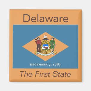 Delaware Flag Magnet Magneet