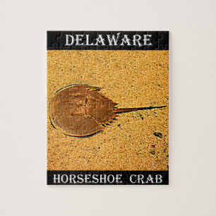 Delaware Hoefijzer Crab Legpuzzel