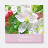Delaware Peach Blossom First State Magneet (Voorkant)