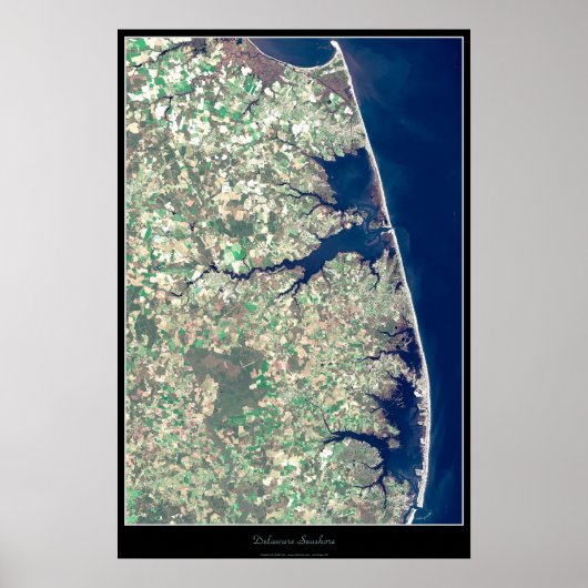 Delaware Seashore satelliet poster (Voorkant)
