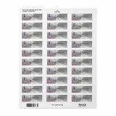 Delaware Silver American Flag Patriotic Etiket (Full Sheet)