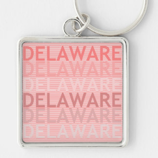 Delaware Sleutelhanger