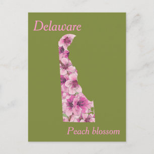 Delaware State Flower Collage Map Briefkaart