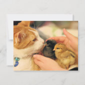 Delen Kaart (Voorkant)