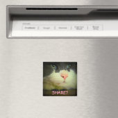 Delen met kat? magneet (Insitu (Vaatwasser))