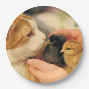 Delen Papieren Bordje