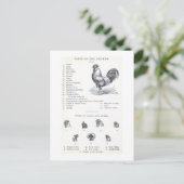 Delen van de kip briefkaart (Staand voorkant)