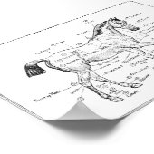 "Delen van paardachtigen" Poster (Hoek)