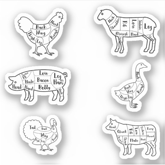 Delen van Stickers (Voorkant)