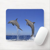 Delfin 2 muismat (Met muis)