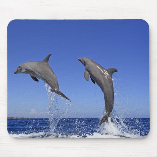 Delfin 2 muismat (Voorkant)