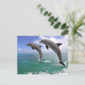 Delfin Briefkaart (Staand voorkant)
