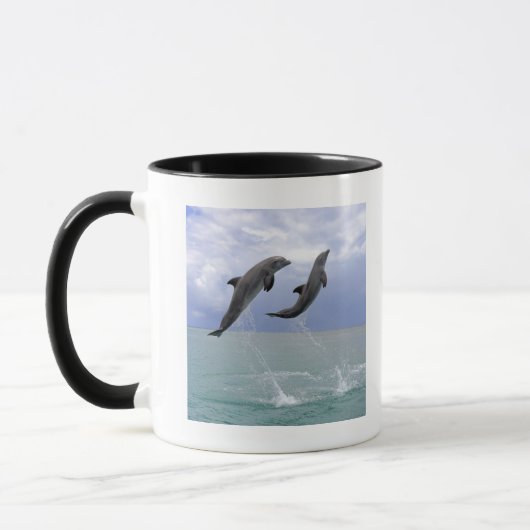 Delfin (Grosser Tuemmler) Mok (Links)