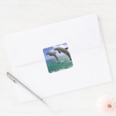 Delfin Vierkante Sticker (Envelop)