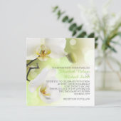 Délicat Faire-part de mariage d'orchidées blanches (Debout devant)