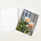 Délicat mignon daffodils printemps (Devant avec enveloppe)