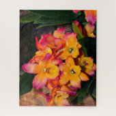 Délicat Orchidées Puzzle puzzle (Vertical)