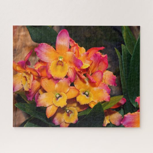 Délicat Orchidées Puzzle puzzle (Horizontal)