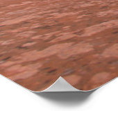 Delicate Arch | Arches National Park Utah Poster (Hoek)