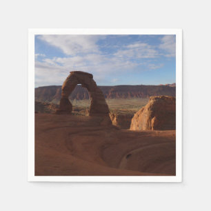 Delicate Arch II in Arches National Park Servet