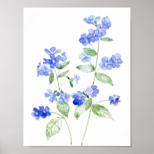 delicate blauwe Brunnera bloemen wilde bloem Poster