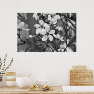 Delicate Blossom 3623 Poster