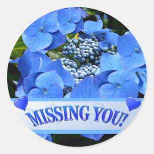 Delicate Blue Lacecap Hydrangea Ronde Sticker