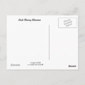 Delicate Cherry Blossom Briefkaart (Achterkant)