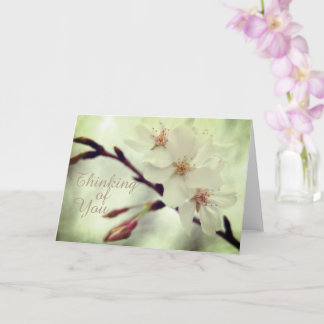 Delicate Cherry Blossom Card Kaart