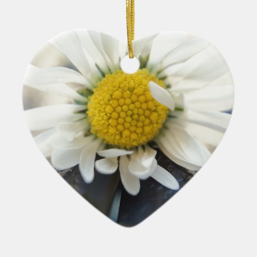 Delicate daisy keramisch ornament (Voorkant)