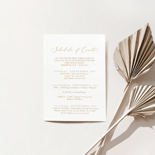 Delicate Gold Wedding Weekend Schedule of Events Informatiekaartje