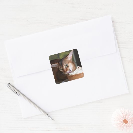 Delicate Indulgence Cat Sticker (Enveloppe)