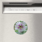 Delicate Lily - magneet (Insitu (Vaatwasser))
