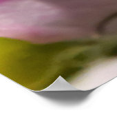 Delicate Orquid Poster (Hoek)