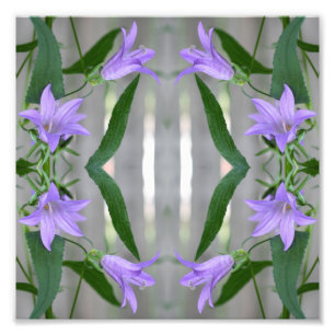 Delicate Paarse Lily Flowers Mirror Abstract 8x8 Foto Afdruk