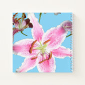 Delicate Pink Lily Flower op Aqua Notitieboek (Achterkant)