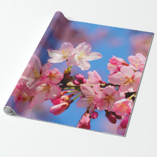 Delicate Pink Sakura Flowers Cadeaupapier