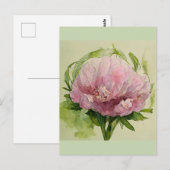 Delicate pioenroos briefkaart (Voorkant / Achterkant)