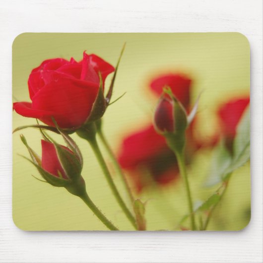 Delicate Red Rose Muismat (Voorkant)