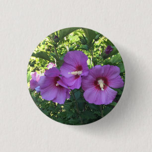 Delicate roze roze roze roze foto van Sharon/Hibis Ronde Button 3,2 Cm