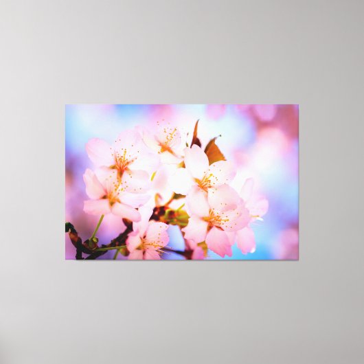 Delicate Sakura Flowers Canvas Afdruk (Voorkant)