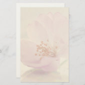 Delicate Soft roze Cherry Blossom Flower Briefpapier (Voorkant / Achterkant)