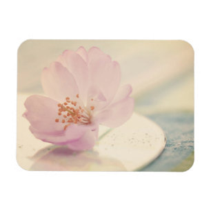 Delicate Soft roze Cherry Blossom Flower Magneet