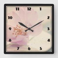 Delicate Soft roze Cherry Blossom Flower