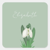 Delicate Spring Snowdrop Flower  Vierkante Sticker (Voorkant)