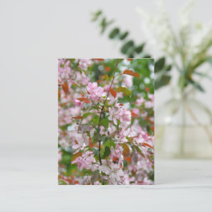 Delicate tak met bloemen appelboom briefkaart